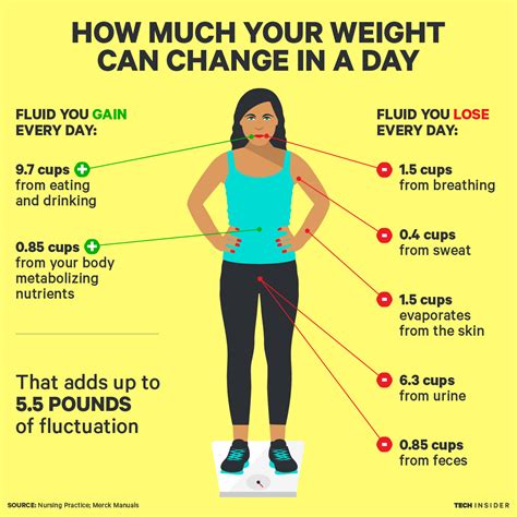 Everything You Need To Know About FAT LOSS.